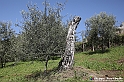 VBS_7284 - PressTour educational dedicato ai vini del Pinerolese e all’olio prodotto sulla collina di Pinerolo